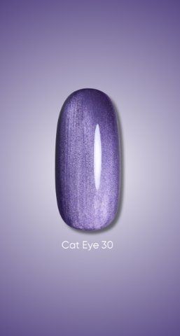 Гель лак Dark Cat Eye 30, 10ml 20248 фото