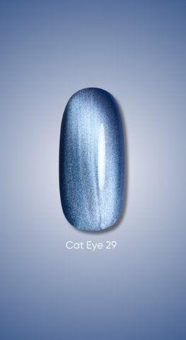 Гель лак Dark Cat Eye 29, 10ml 20247 фото