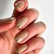 Гель-лак "Gel Polish Сat's Еye" 8мл E-02 2101200445122 фото 2